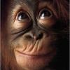 Zweger's Photo