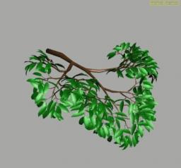 Animated Branch