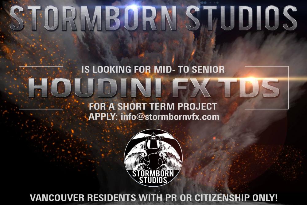 stormborn_jobs_flyer.jpg