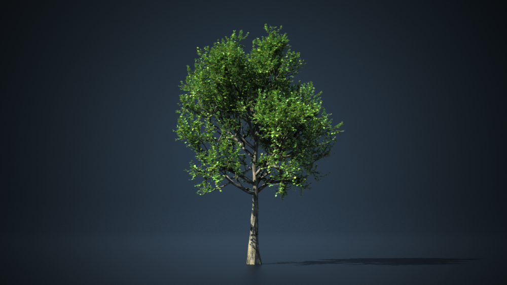 Tree_2.png