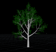 tree_wire_sim.gif